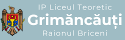 Liceul Teoretic Grimăncăuți
