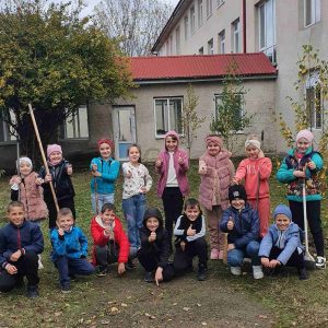 Amenajarea teritoriului adiacent liceului